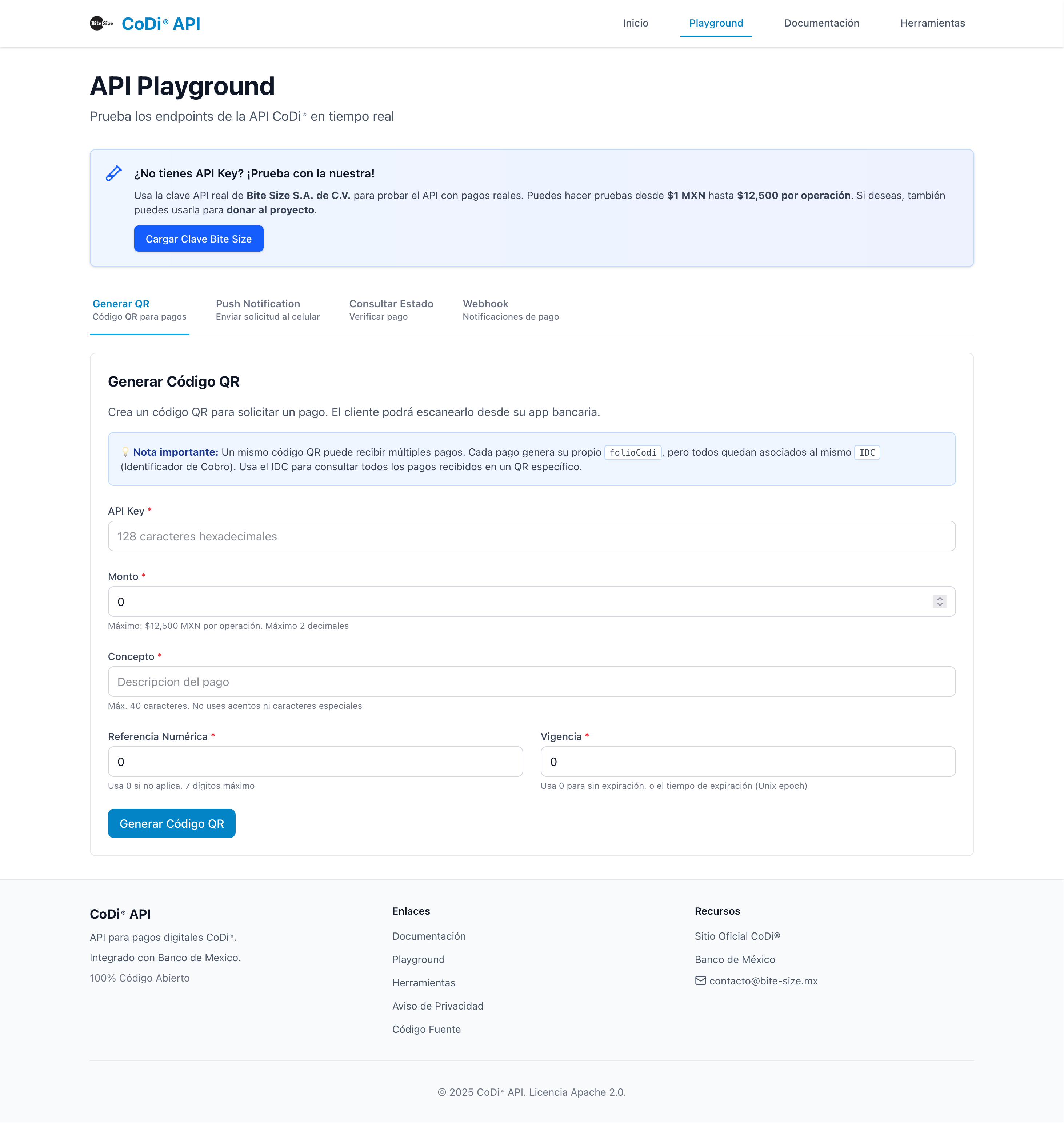 Interactive API Playground Interface